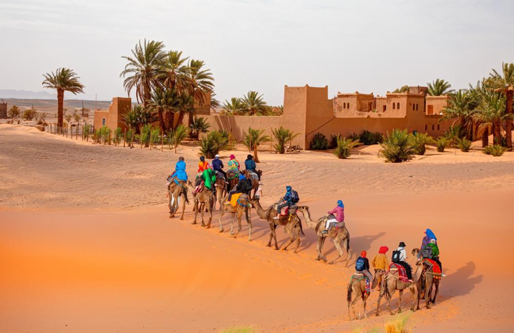 Private 1 Day Trip to Agafay Desert from Marrakech